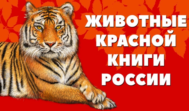 Красная книга почему Красная книга красная