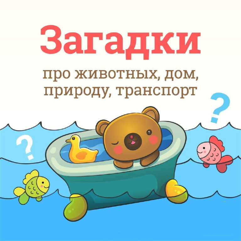 Загадки про животных транспорт природу и дом