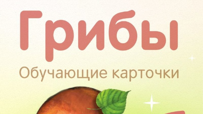 Карточки Домана Грибы