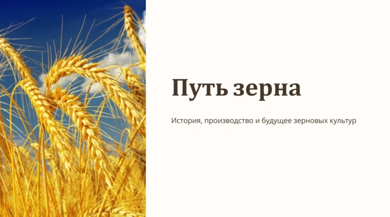 Путь зерна