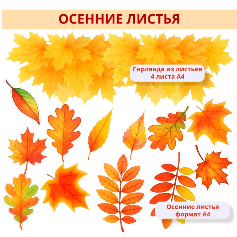 Осенние листья
