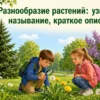 Дети изучают разнообразие растений в парке